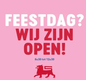 FEESTDAG 1 mei